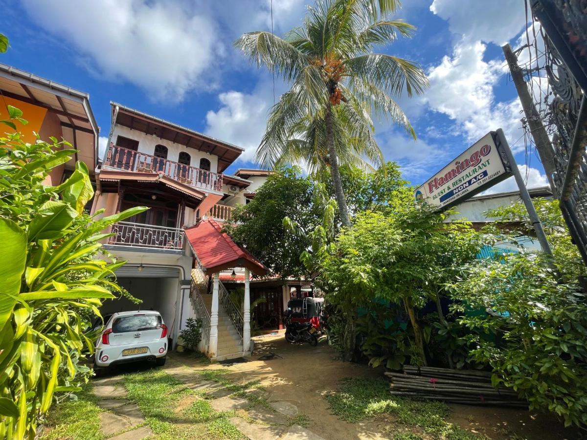 Flamingo Guest House Унаватуна Екстериор снимка